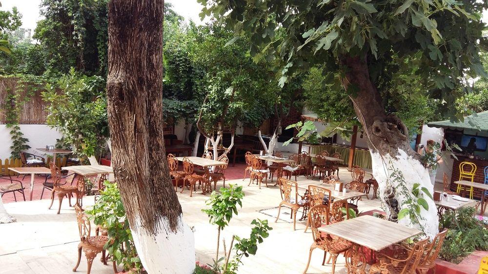 Kaliptus Hotel Kemer Esterno foto
