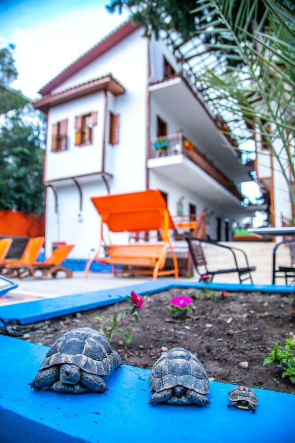Kaliptus Hotel Kemer Esterno foto